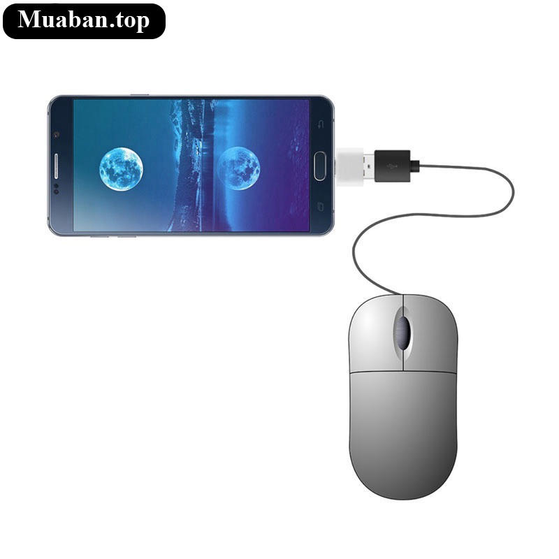 Đầu kết nối Micro USB và Type C sang USB 20 5