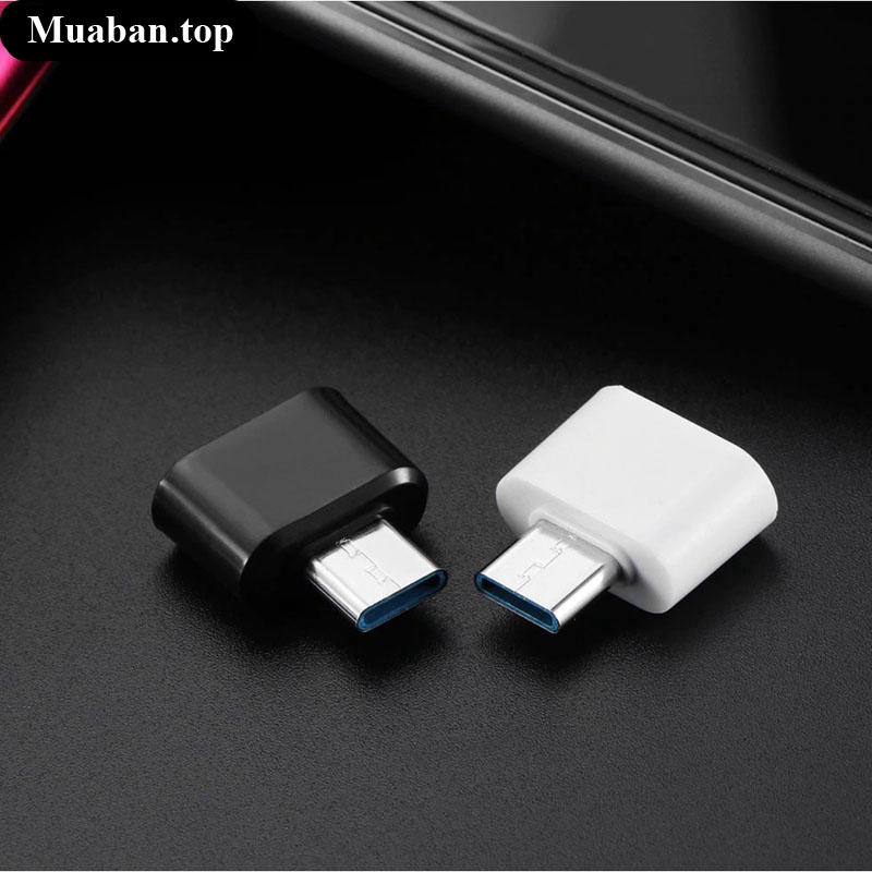 Đầu kết nối Micro USB và Type C sang USB 20 6