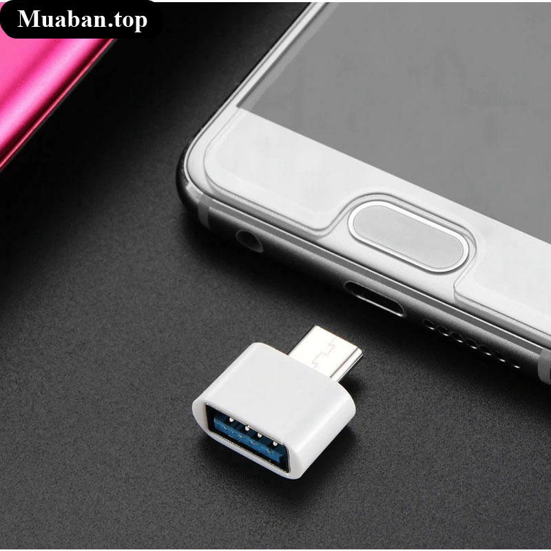 Đầu kết nối Micro USB và Type C sang USB 20 7