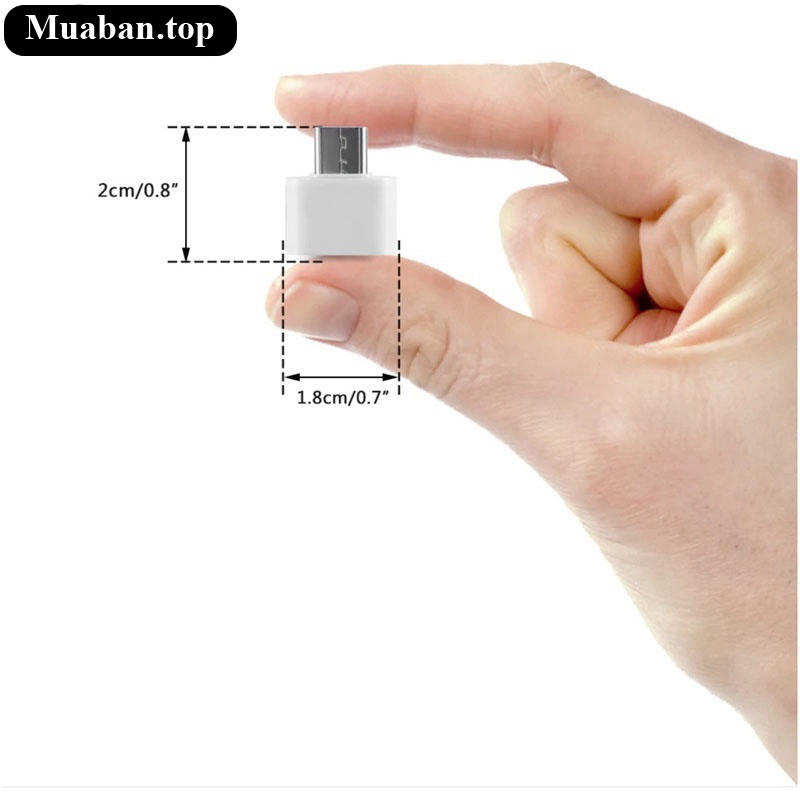 Đầu kết nối Micro USB và Type C sang USB 20 8