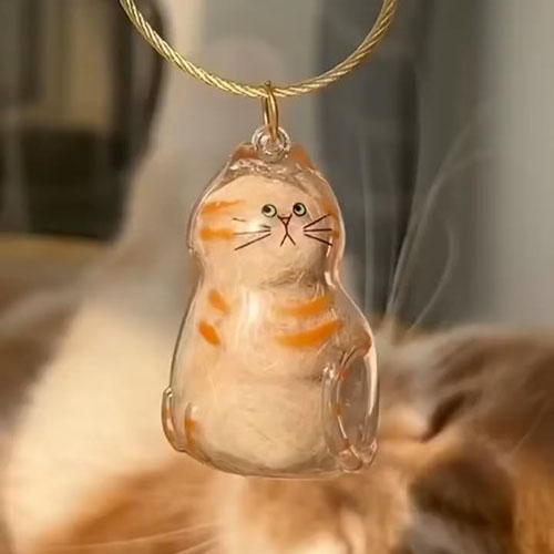 Một chiếc vòng đeo cổ cho ẻm xịn xò quá nè mọi người