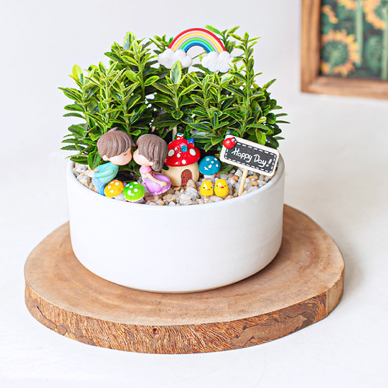 Tiểu cảnh để bàn chúng mình có đôi