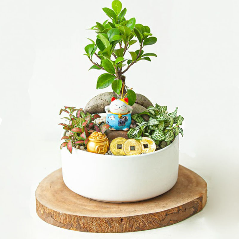 Tiểu cảnh để bàn ngày hạnh phúc thứ 6