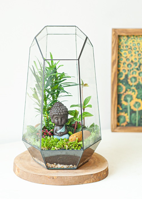 Tiểu cảnh để bàn terrarium an yên