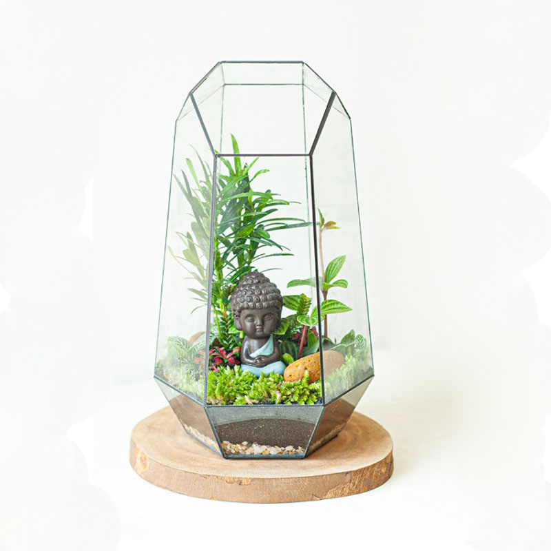 Tiểu cảnh để bàn terrarium an yên
