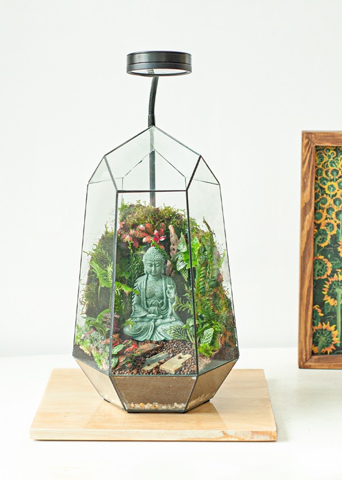 Tiểu cảnh để bàn terrarium bình an