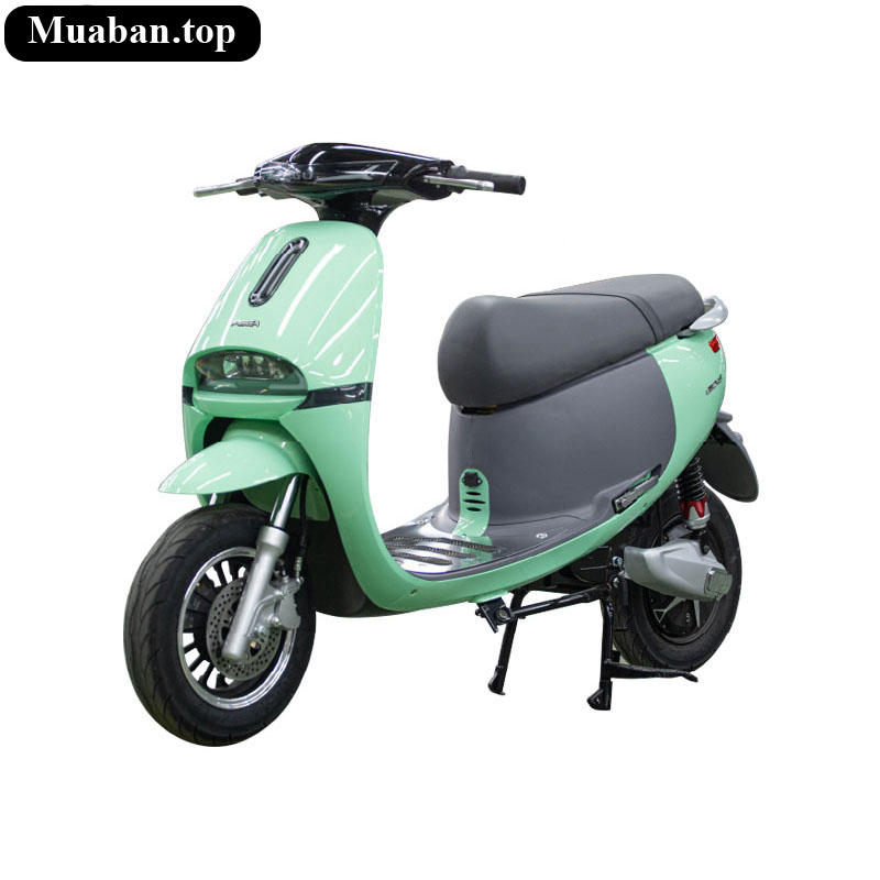 Xe máy điện phong cách thời thượng Pega Go S