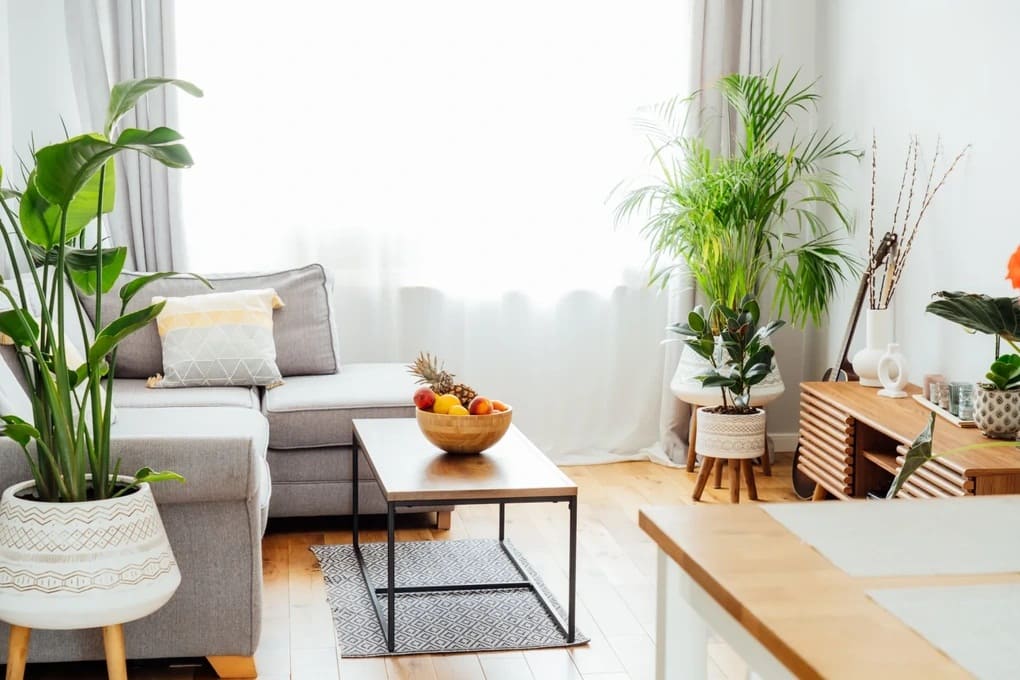 Decor căn hộ nhỏ tràn đầy cảm hứng