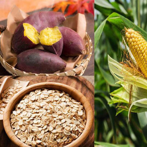 3 thực phẩm chứa tinh bột giúp đào thải mỡ nội tạng