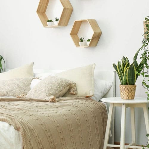 7 loại cây bạn nên đặt trong nhà để ngủ ngon, an thần và lọc khí