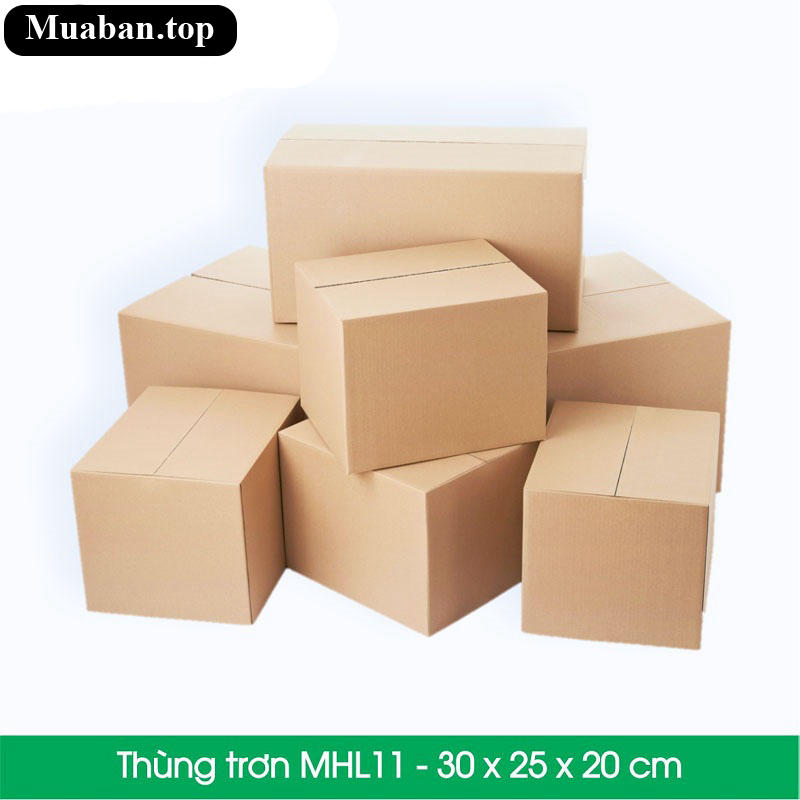 Hộp carton lớn 30 x 25 x 20 4