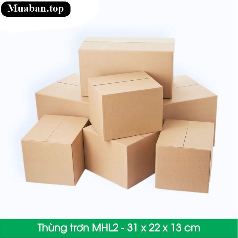 Hộp carton lớn 31x22x13 4