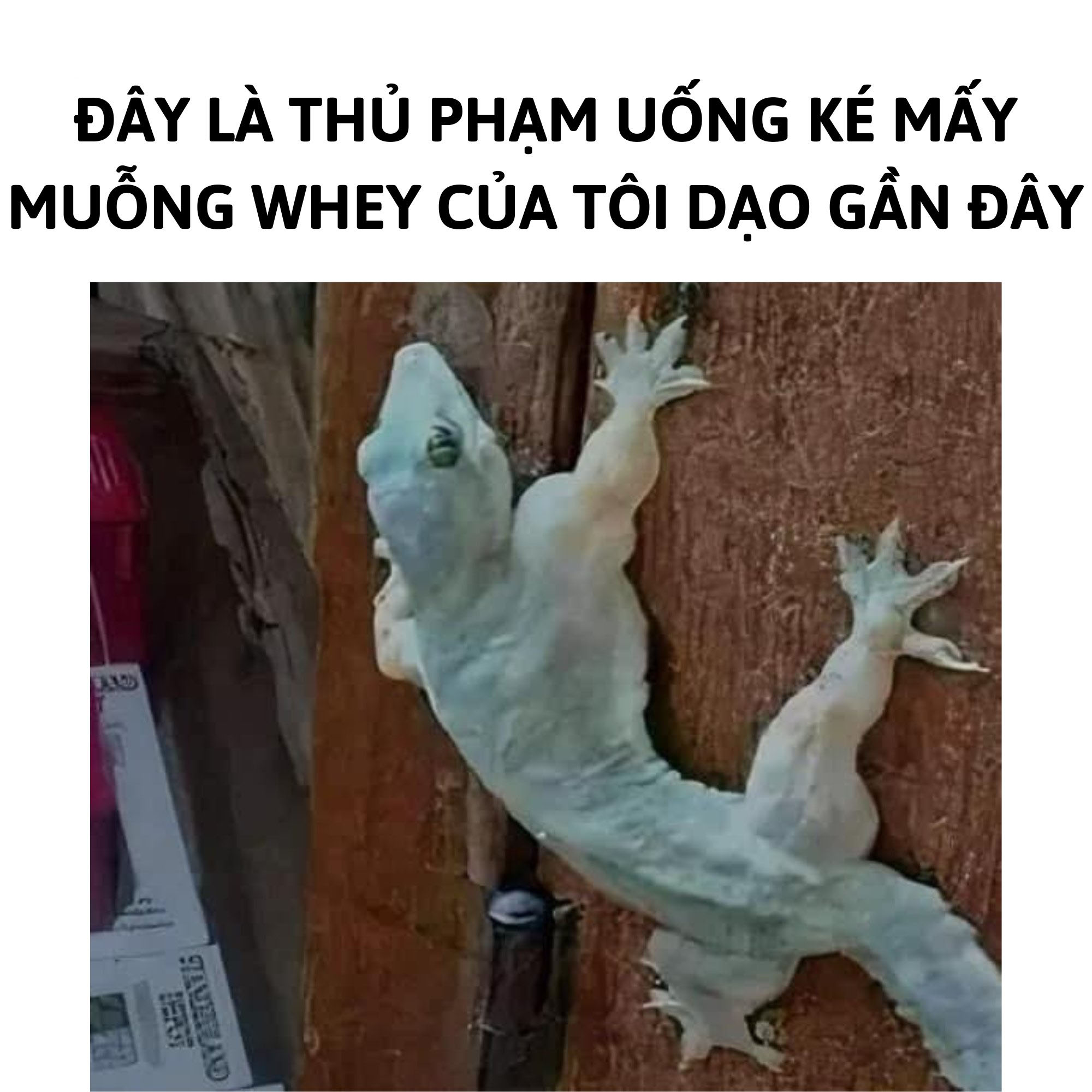 À thì ra là mày chứ không còn ai vào đây