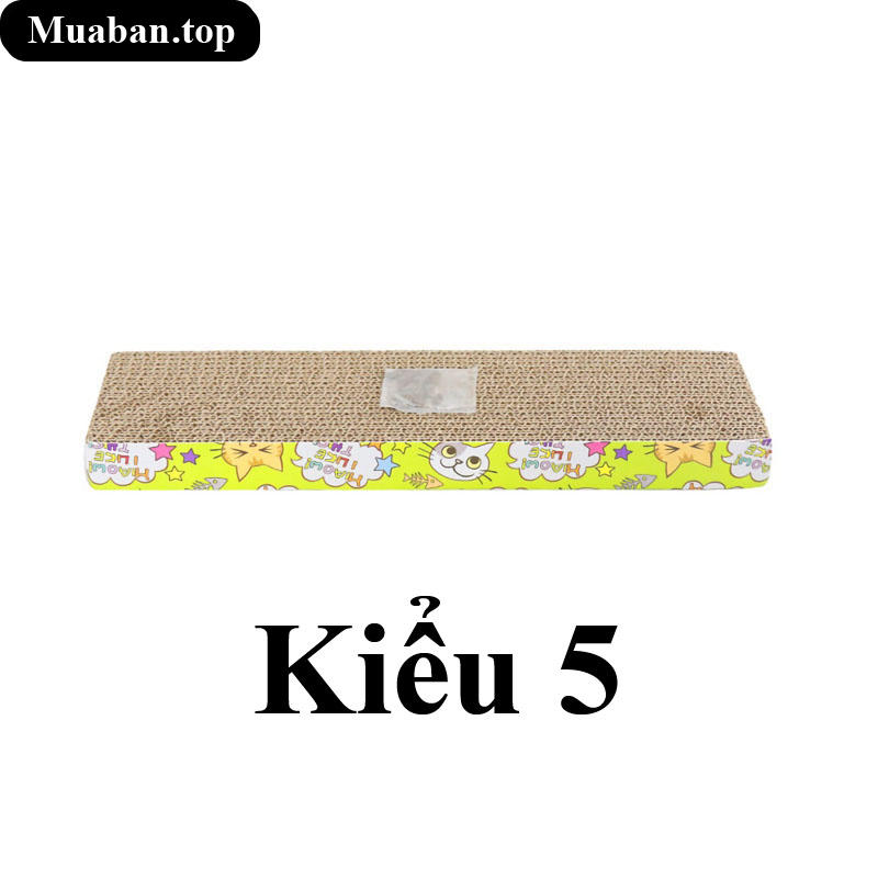 Kiểu 5