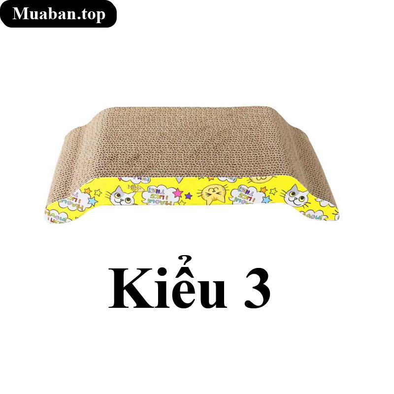 Kiểu 3