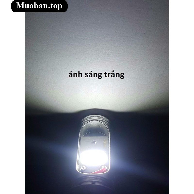 Bóng đèn pha chân M5 2 tim dành cho xe máy 3
