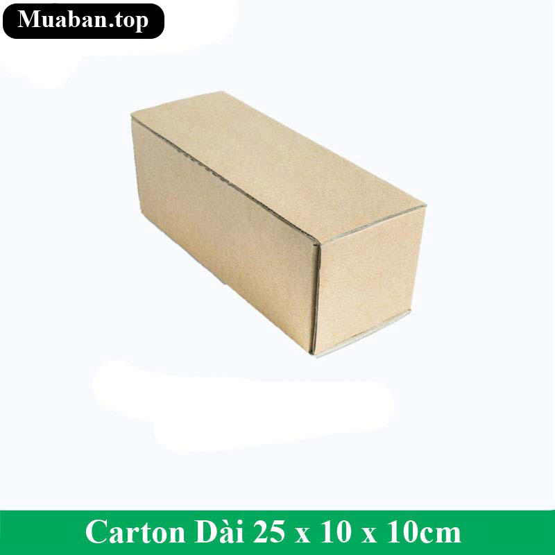 Carton Dài 25 x 10 x 10 cm 2
