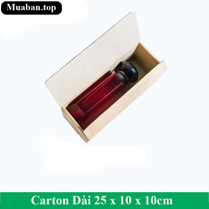 Carton Dài 25 x 10 x 10 cm 3