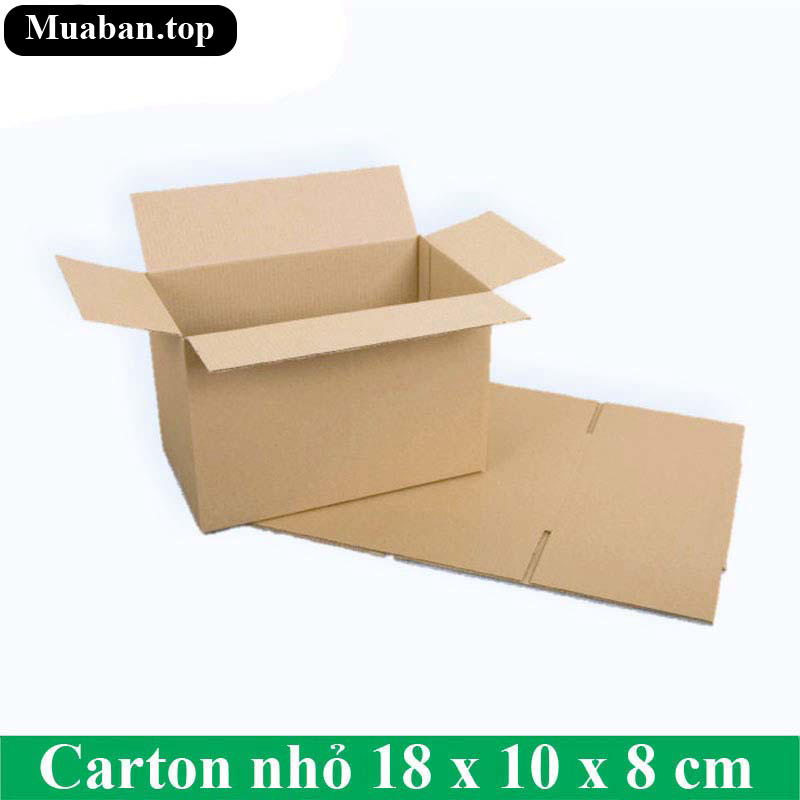 Carton nhỏ 18 x 10 x 8 cm 2