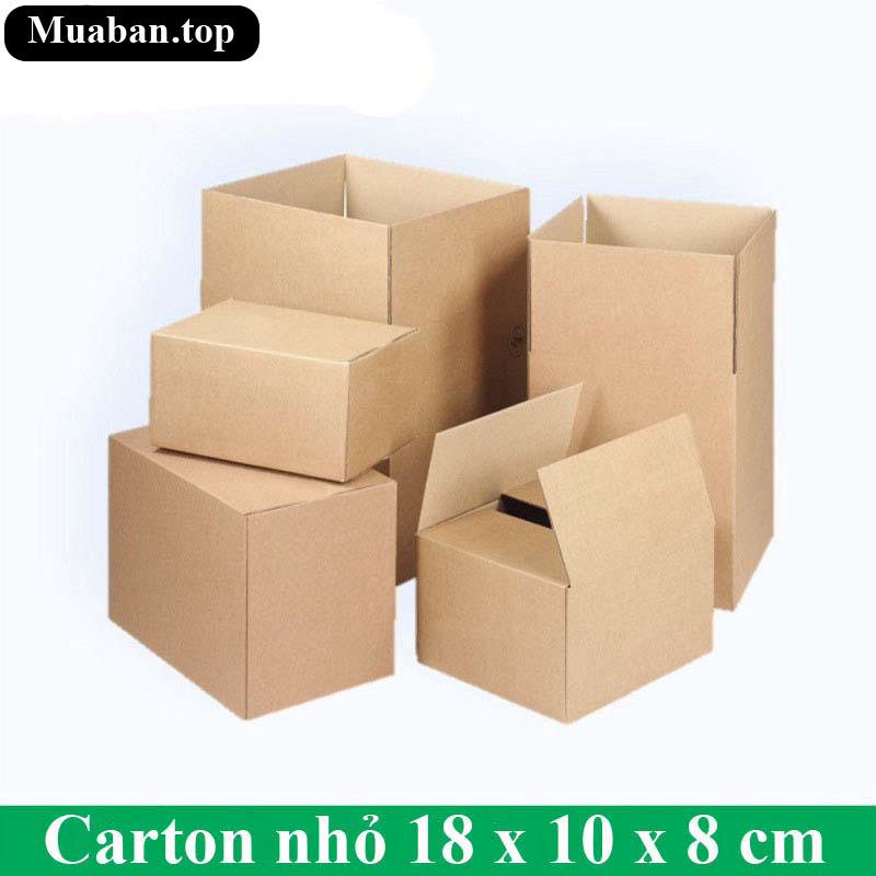 Carton nhỏ 18 x 10 x 8 cm 3