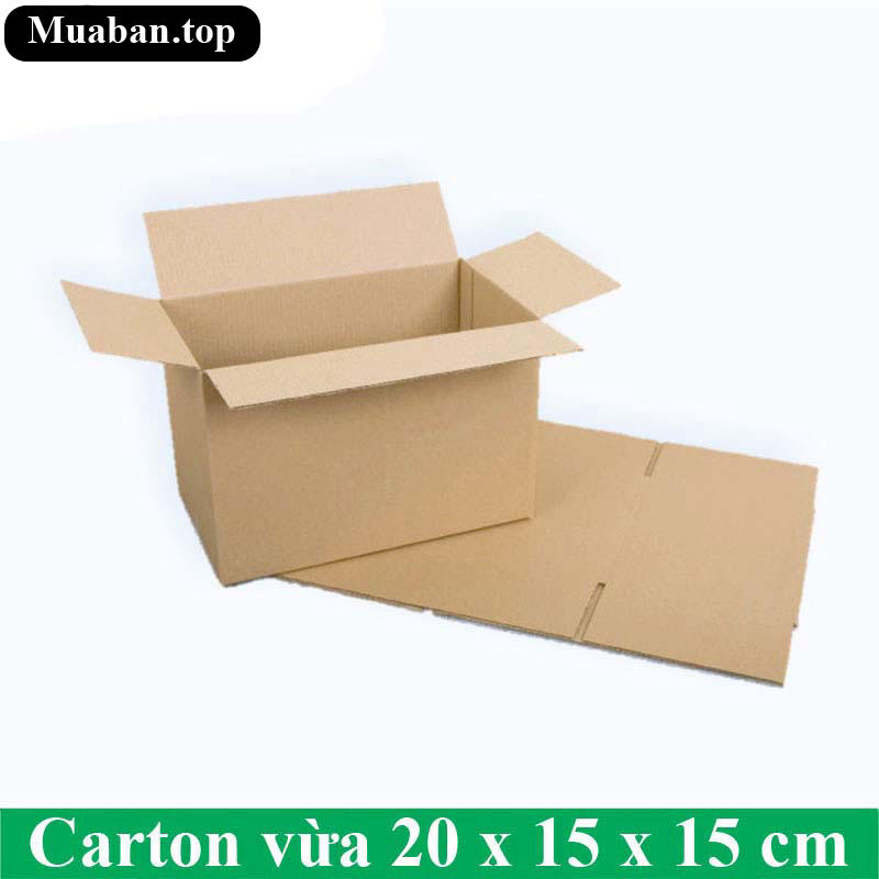 Carton vừa 20 x 15 x 15 cm 2