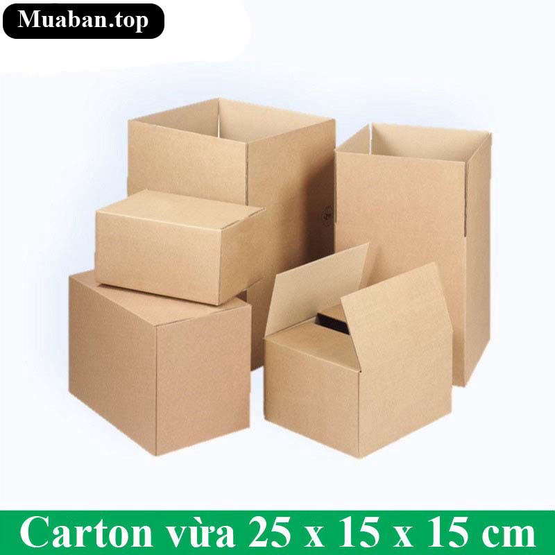 Carton vừa 25 x 15 x 15 cm 3