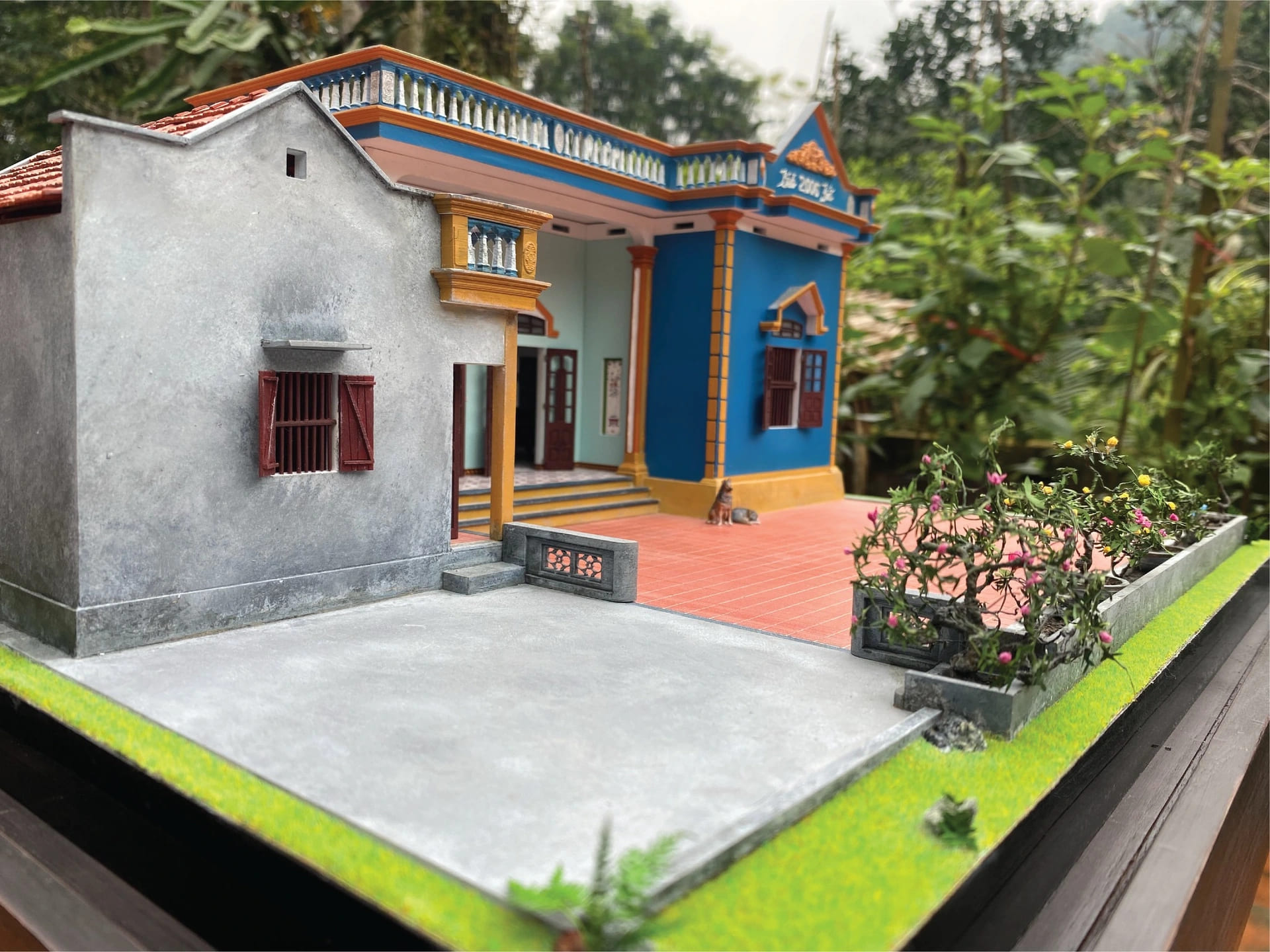 chàng trai trẻ gây sốt cộng đồng mạng