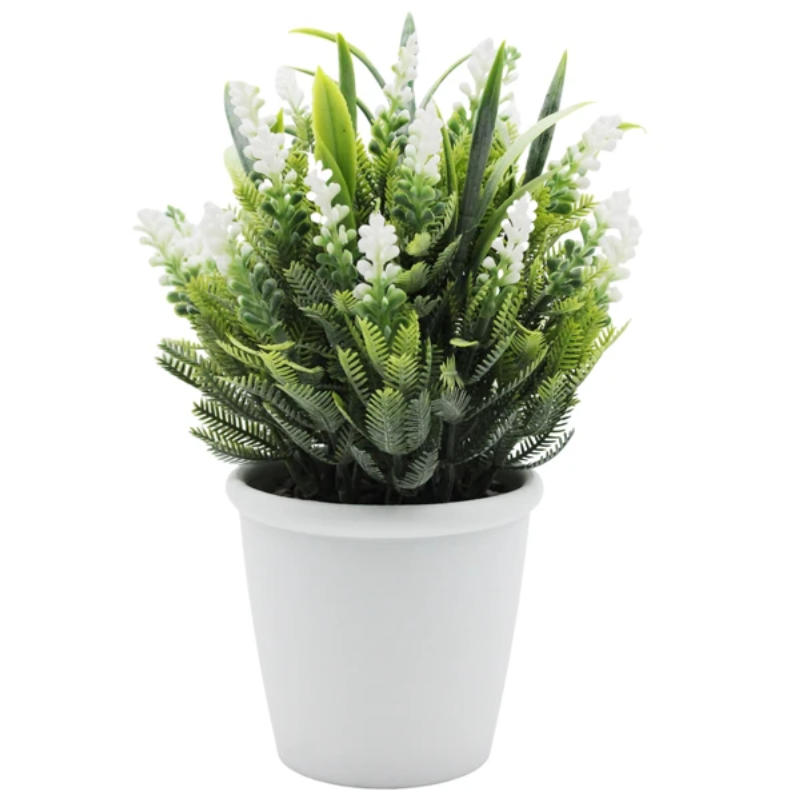 Chậu Cây Hoa Nhựa Trang Trí Để Bàn Văn Phòng Mẫu 1 Chậu Cây Hoa Nhựa Trang Trí Để Bàn Văn Phòng Mẫu 1