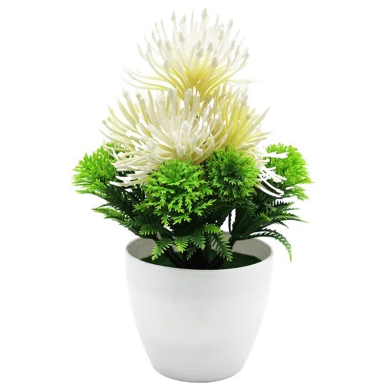 Chậu Cây Nhựa Hoa Trắng Để Bàn Văn Phòng 778