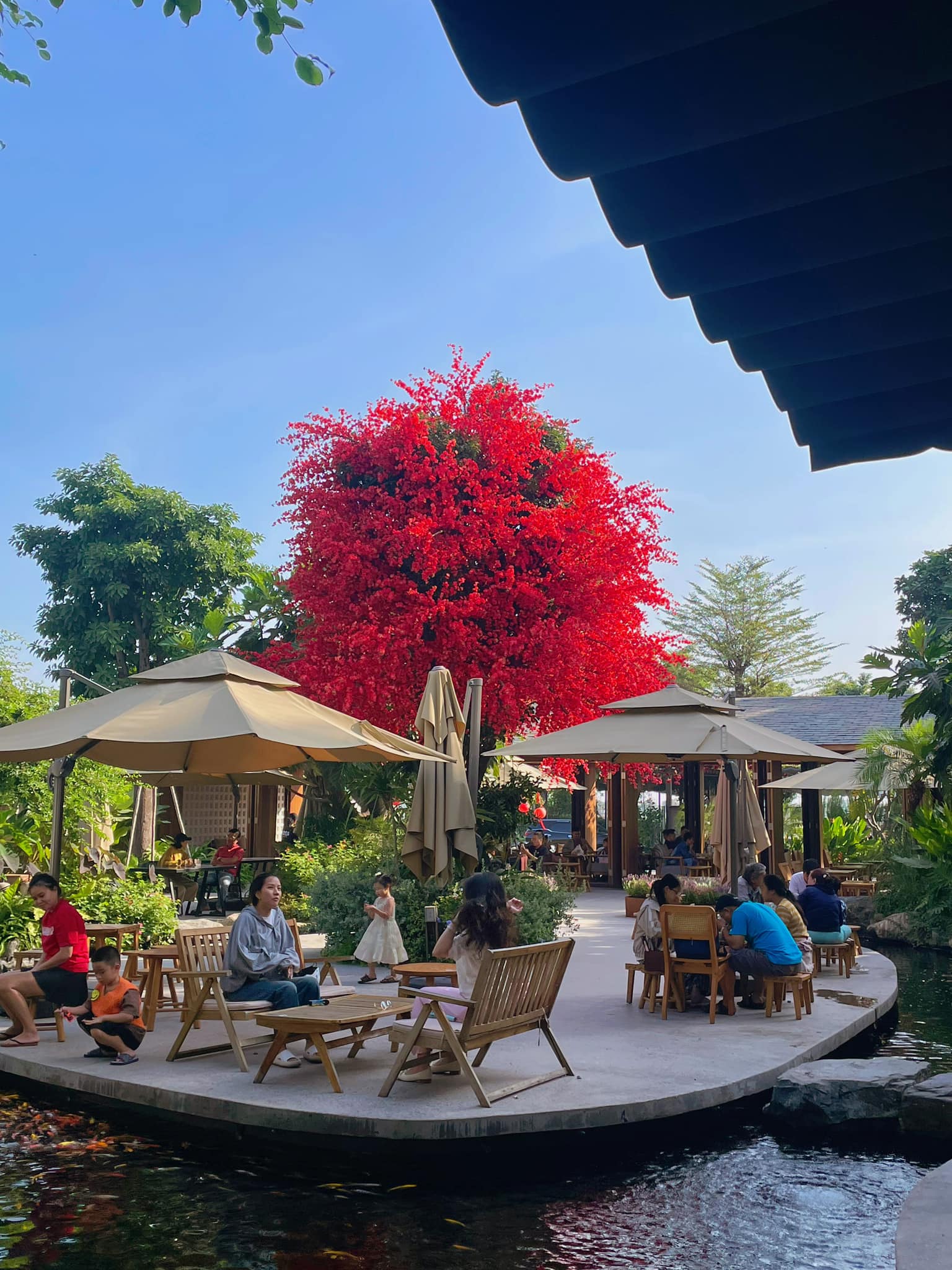 CHECK-IN NGAY ĐIỂM SỐNG ẢO HOT NHẤT SÀI GÒN – CÂY HOA ĐÀO ĐỎ RỰC TẠI LAYLA CAFE & BISTRO 2