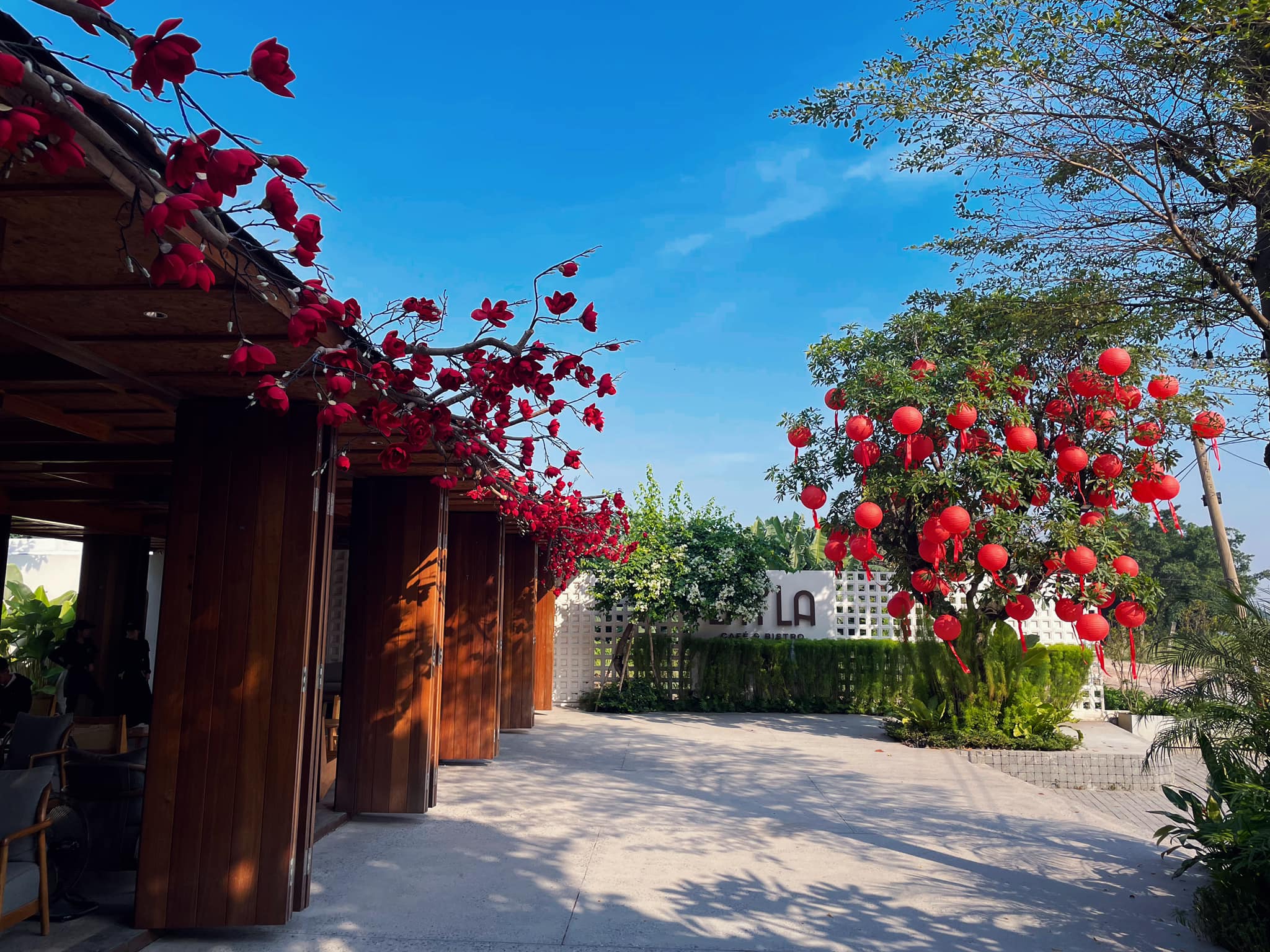 CHECK-IN NGAY ĐIỂM SỐNG ẢO HOT NHẤT SÀI GÒN – CÂY HOA ĐÀO ĐỎ RỰC TẠI LAYLA CAFE & BISTRO 5