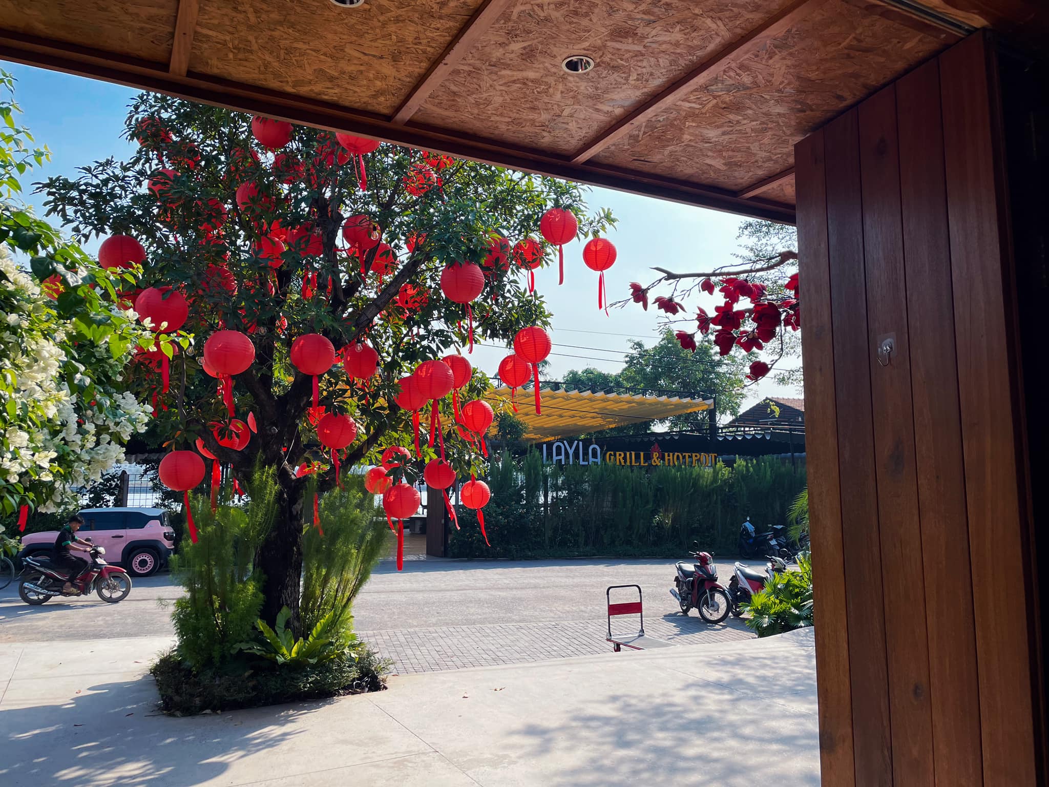 CHECK-IN NGAY ĐIỂM SỐNG ẢO HOT NHẤT SÀI GÒN – CÂY HOA ĐÀO ĐỎ RỰC TẠI LAYLA CAFE & BISTRO 8