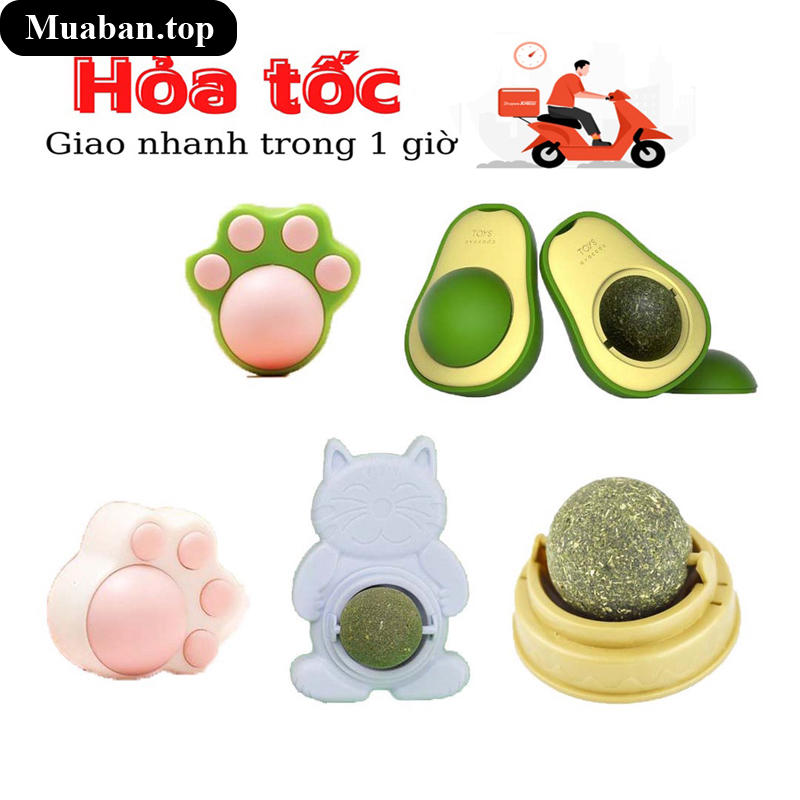 Cỏ mèo Catnip gắn tường hỗ trợ tiêu hóa sổ búi lông cho mèo