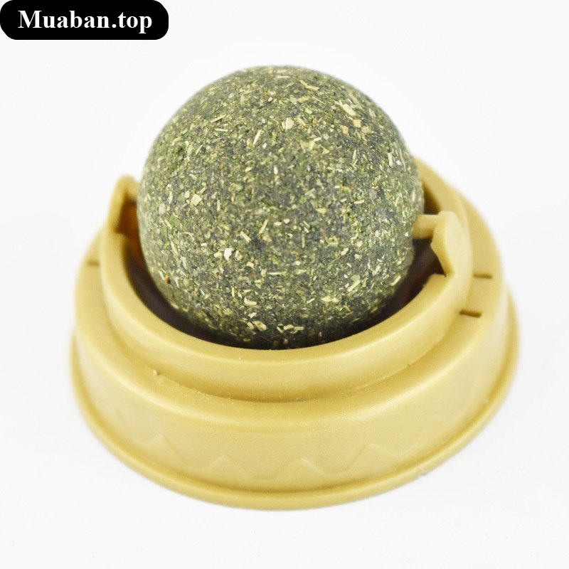 Cỏ mèo Catnip gắn tường hỗ trợ tiêu hóa sổ búi lông cho mèo 3