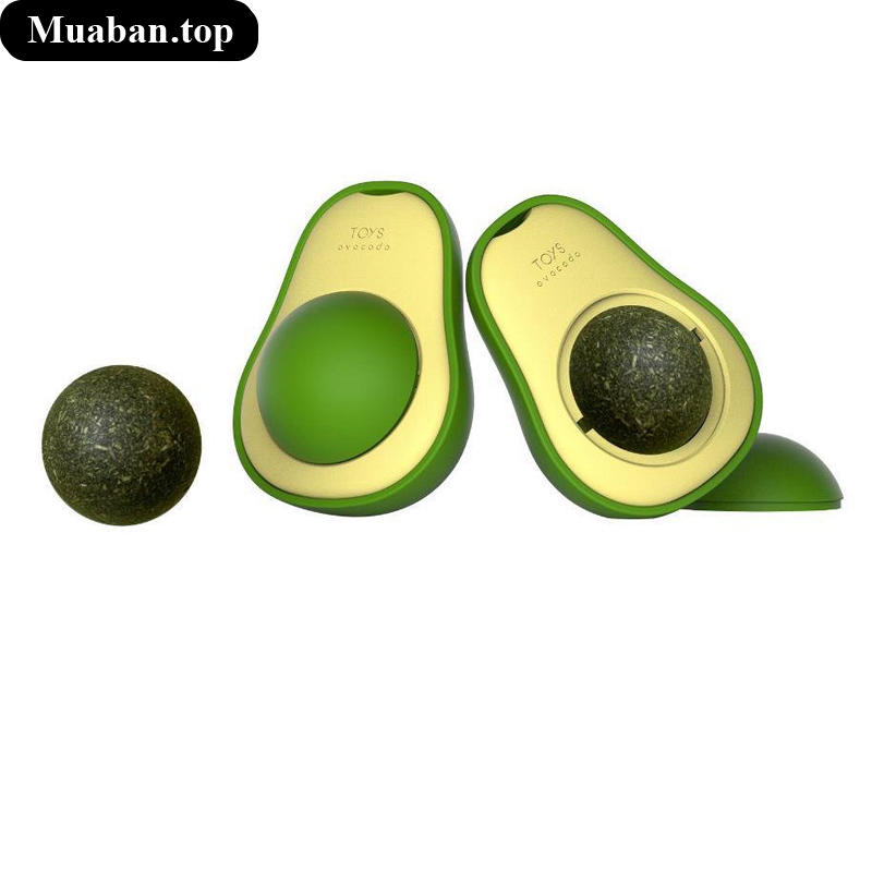 Cỏ mèo Catnip gắn tường hỗ trợ tiêu hóa sổ búi lông cho mèo 4