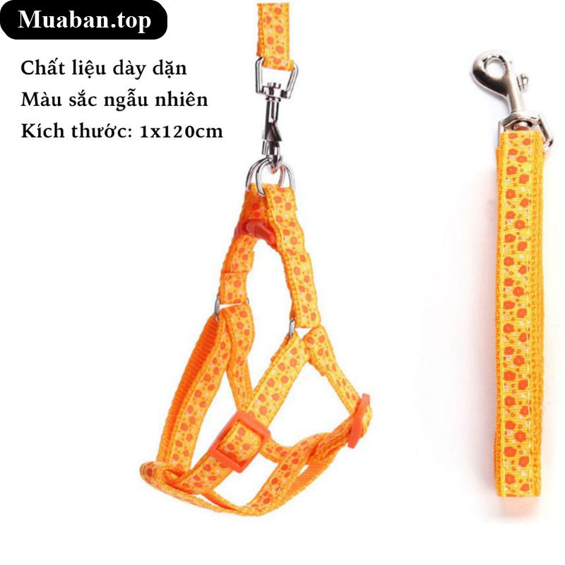Dây yếm dắt thú nuôi nhỏ dưới 5kg 2