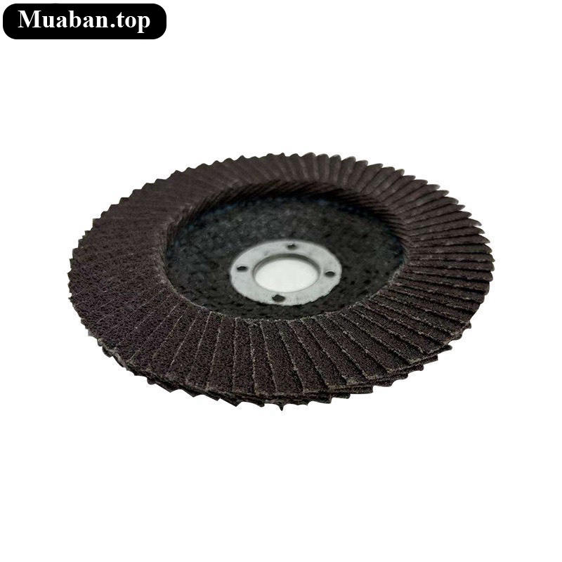 Đĩa chà nhám bánh chà nhám cao cấp 5