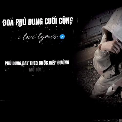 Đoá Phù Dung Cuối Cùng ca khúc nhạc buồn đầy cảm xúc