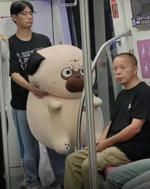 Ê bảo nó đừng nhìn tao nữa xợ ơi xợ