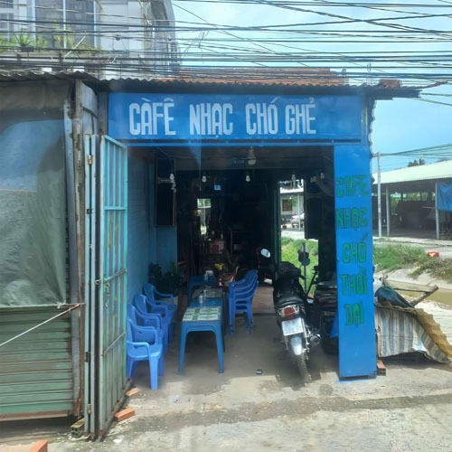 ghẻ thì kệ cha t, chớ mắc gì làm nhạc???