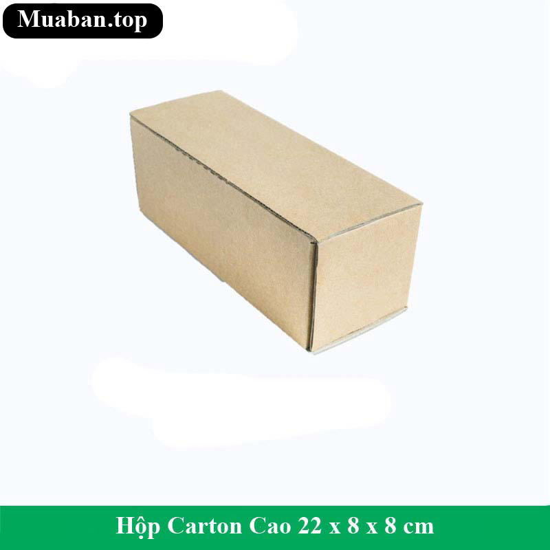 Hộp Carton Cao 22 x 8 x 8 cm 2