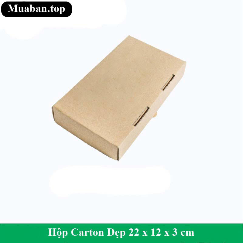 Hộp Carton Dẹp 22 x 12 x 3 cm 2