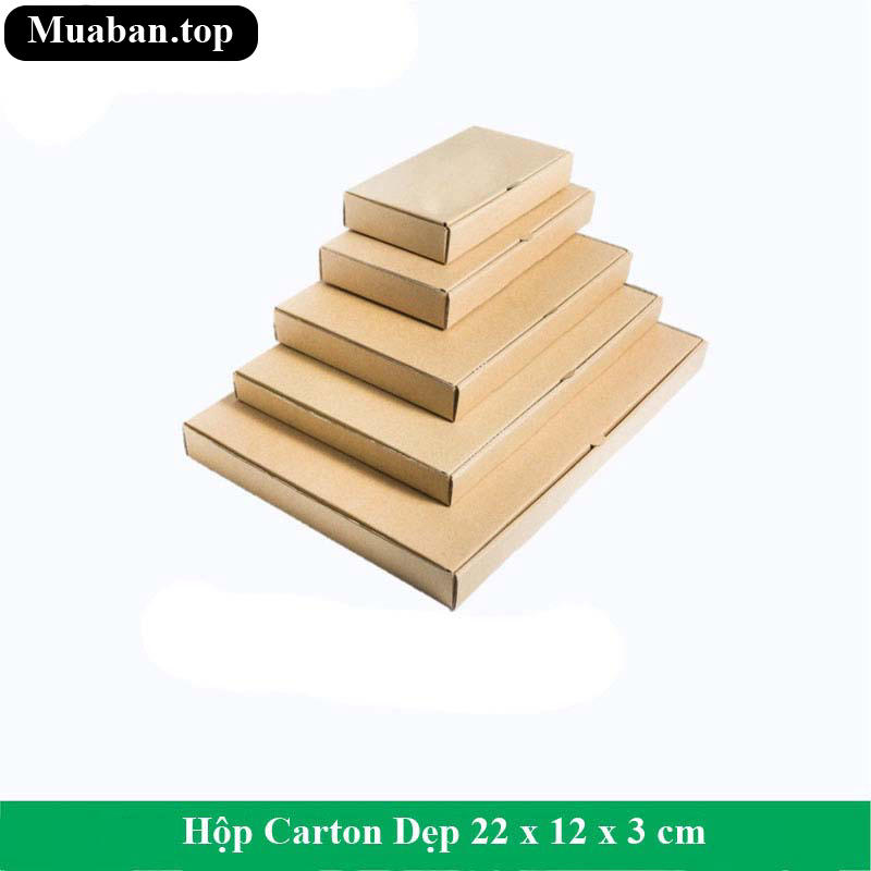 Hộp Carton Dẹp 22 x 12 x 3 cm 4
