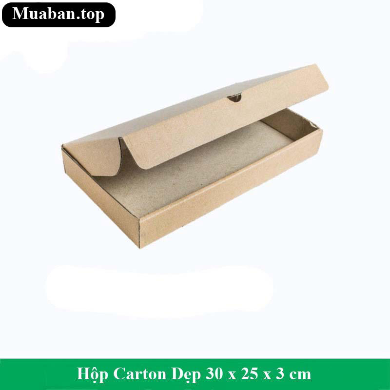 Hộp Carton Dẹp 30 x 25 x 3 cm 3