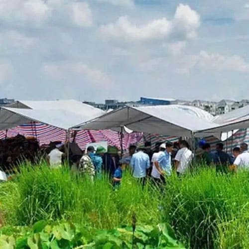 Hưng Yên lái máy xúc làm hư hỏng mộ dân bị khởi tố,trương minh hào bị bắt vì xâm phạm mồ mả hài cốt