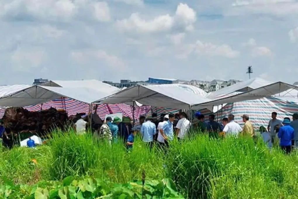 lái máy xúc đào trúng mộ hưng yên khởi tố trương minh hào,xâm phạm mồ mả xã nghĩa trụ công an hưng yên khởi tố vụ án