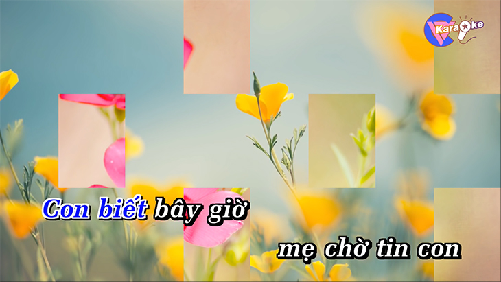 Hướng dẫn kết nối tivi với loa kéo để hát karaoke cực thoả thích 20
