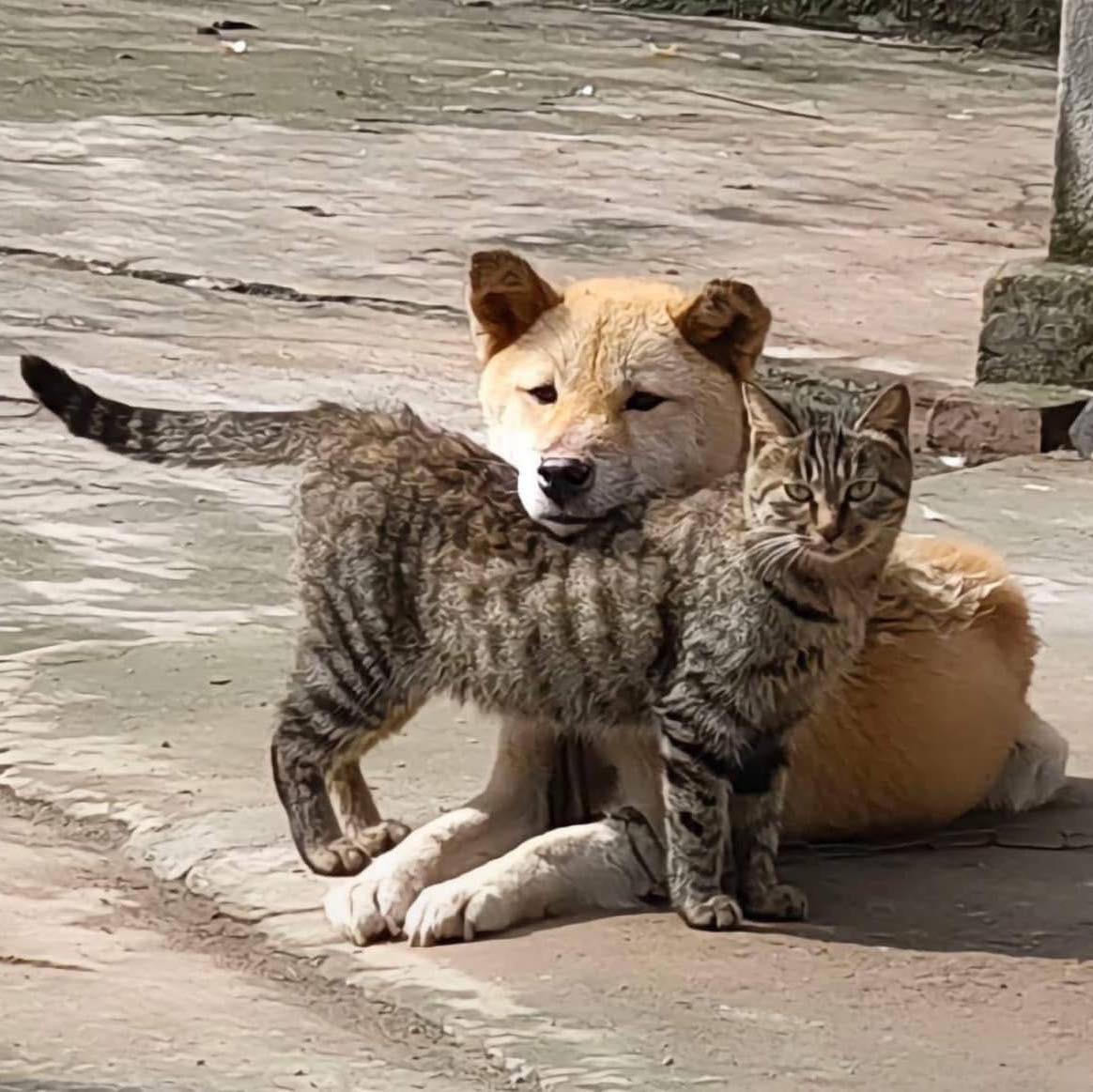 Khi bạn có em ghệ chiến số 1