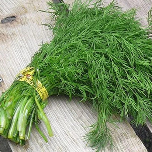 Loại rau thơm phức bán đầy chợ, là dược liệu quý với tim