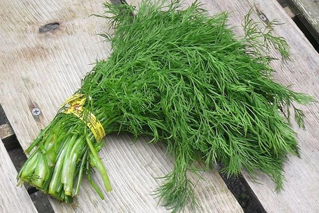 Loại rau thơm phức bán đầy chợ, là dược liệu quý với tim